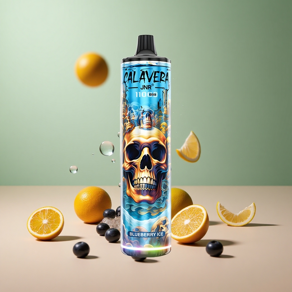 JNR Calavera 11000 Боровинков Лед с Type-C и 850 mAh