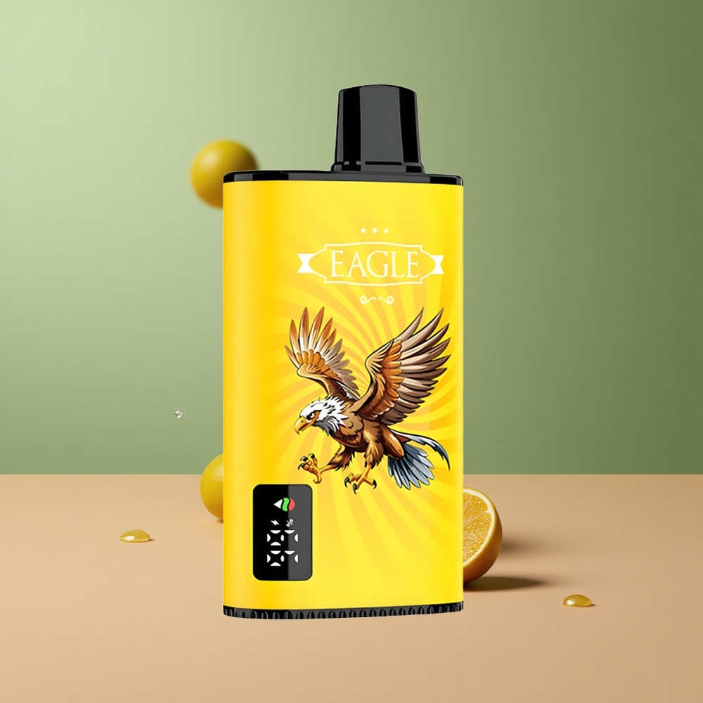 JNR EAGLE Smart 23000 Двойна Ябълка с Регулируем Въздушен Поток и Тип-C Зарядно