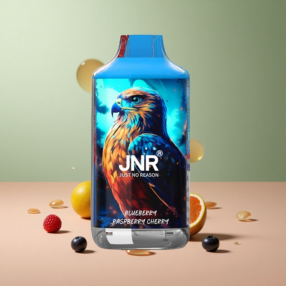 JNR Falcon 16000 Боровинка Малина Череша Dual Mesh Type C LED