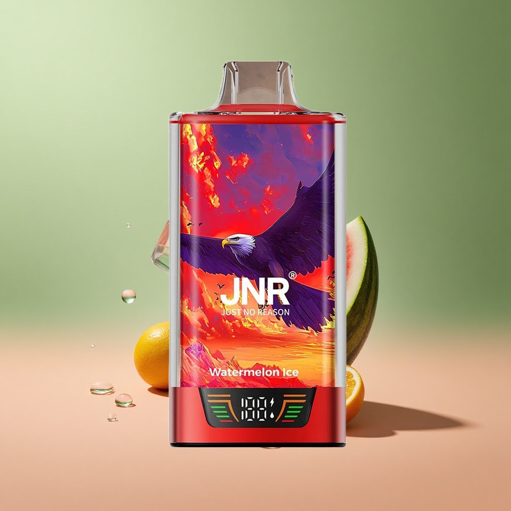 JNR Falcon Pro 28000 Диня Лед 30мл 5%