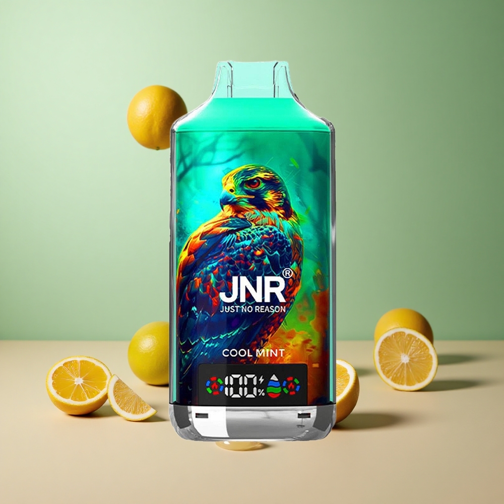 JNR Falcon X 18000 Хладна Мента 24мл Dual Mesh Type-C