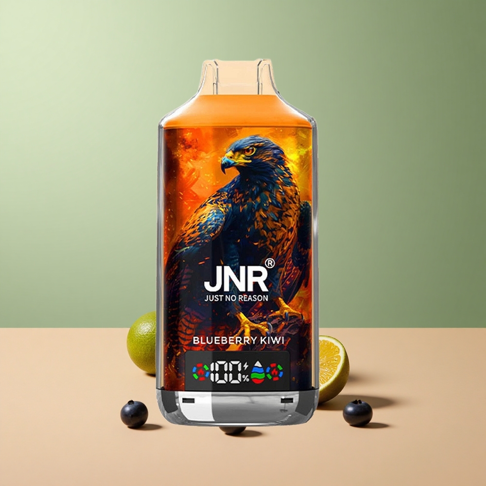 JNR Falcon X 18000 Боровинка Киви 750mAh Dual Mesh Coil Type-C