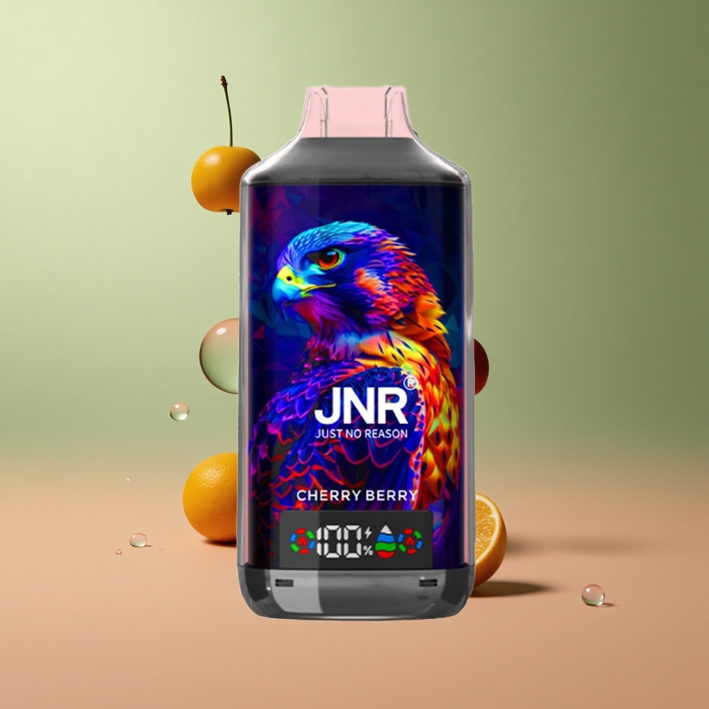 JNR Falcon X 18000 Черешка Боровинка Dual Mesh 24ml Digital Type-C