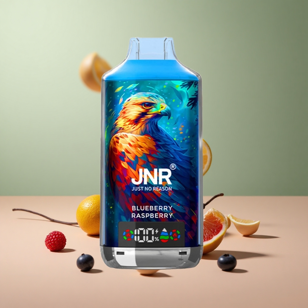 JNR Falcon X 18000 Боровинка Малина Dual Mesh 24ml Type-C