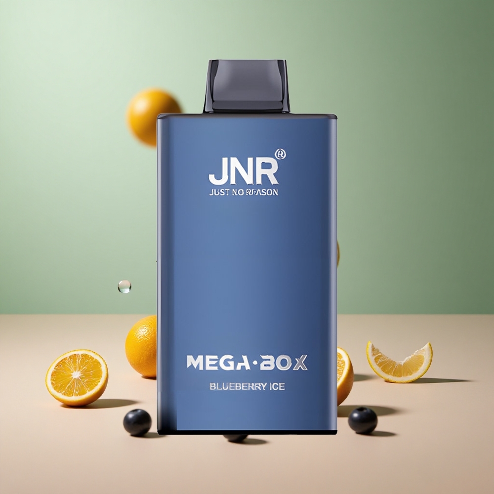 JNR Mega Box 25000 Боровинков лед с двойна мрежа и бърз заряд