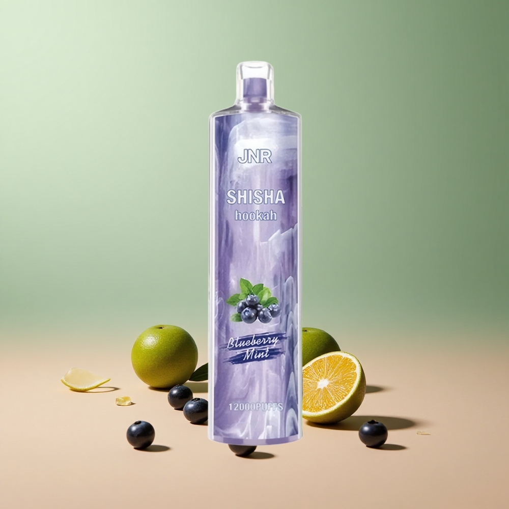 JNR Shisha Hookah 12000 Боровинкова Мента 24мл 0.6Ω Mesh