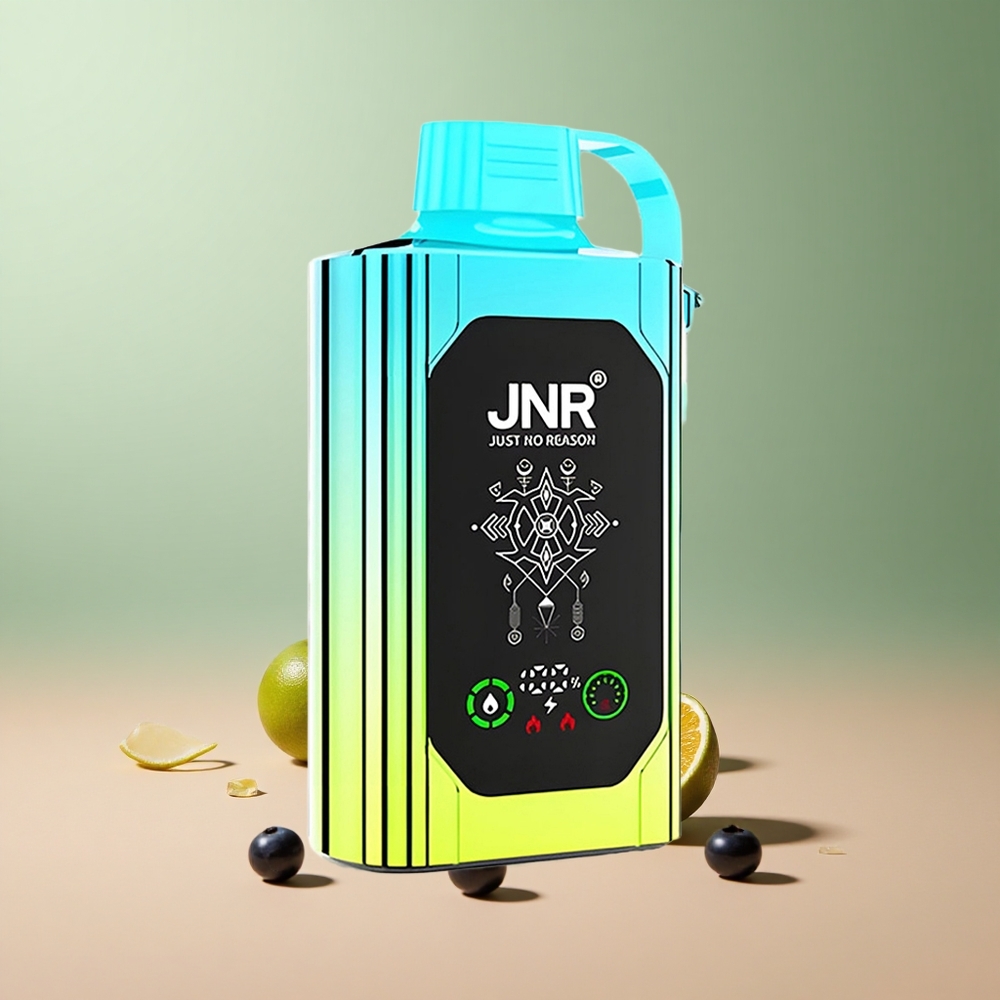 JNR Shisha Hookah Box 20500 Боровинкова Мента Dual Mesh Coil & Dual Core HD Display Type-C Quick Charge