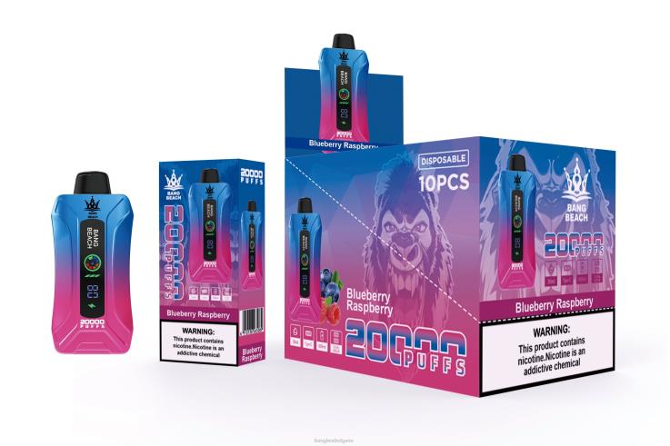 Bang Beach Vape - 6PN4T12 Bang Beach 20000 впръсквания смарт екран vape боровинка малина